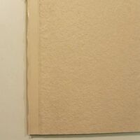 画像1687：婦人革中敷