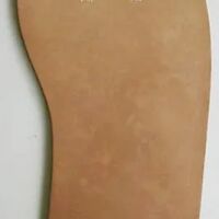 画像1767：婦人革中敷