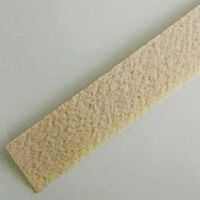 画像2011：婦人革中敷