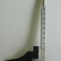 画像2208：婦人革中敷