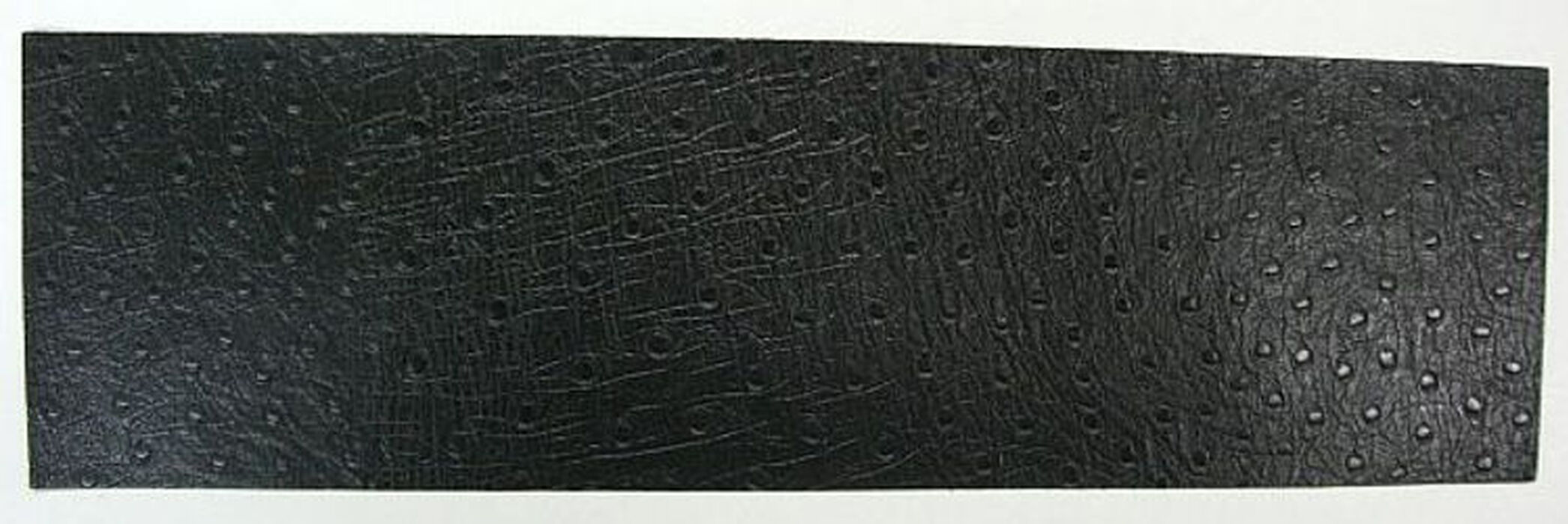 画像4051：SH65 ヘビ柄白黒 NEW！